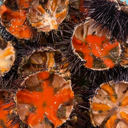 San Paolisa Apartman Hyères