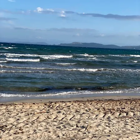 San Paolisa *