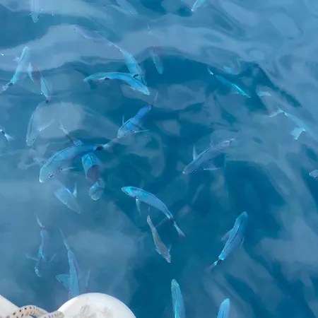 Résidence San Paolisa *