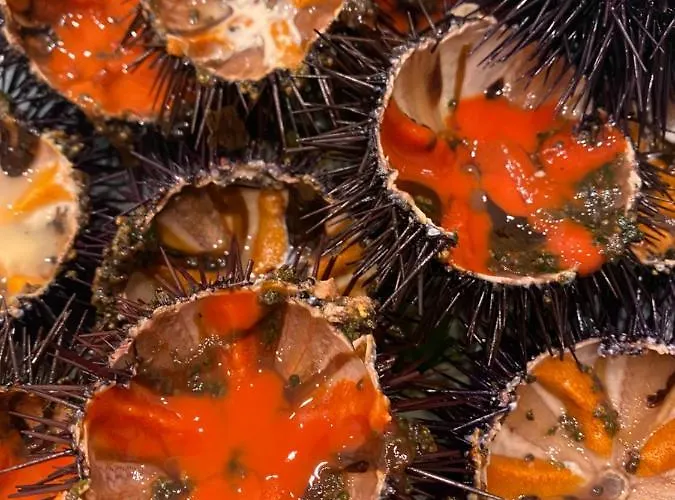 Résidence San Paolisa Appartamento Hyères